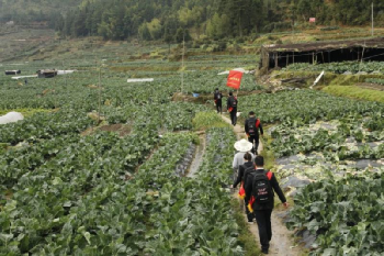 福建農信：牢記囑托，為決戰(zhàn)決勝脫貧攻堅與成果拓展鞏固注入金融動能